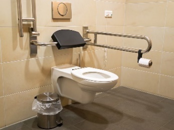 A toilet with handrails and a backrest.